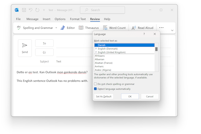 Screen shot of Outlook language bug.