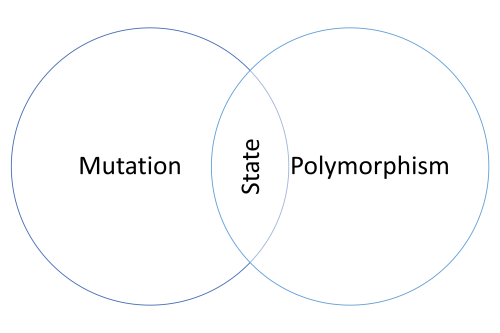 Venn diagram with the two sets mutation and polymorphism. The intersection is labelled state.